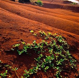 网友号召抵制《羊蹄山之魂》：女权丑化一切 再好玩也不买